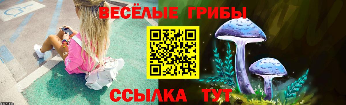 Галлюциногенные грибы Magic Shrooms  Вход с VPN  Карталы 